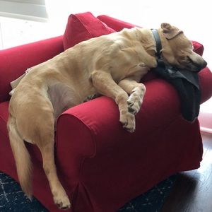 Meet your Posher, Joseph